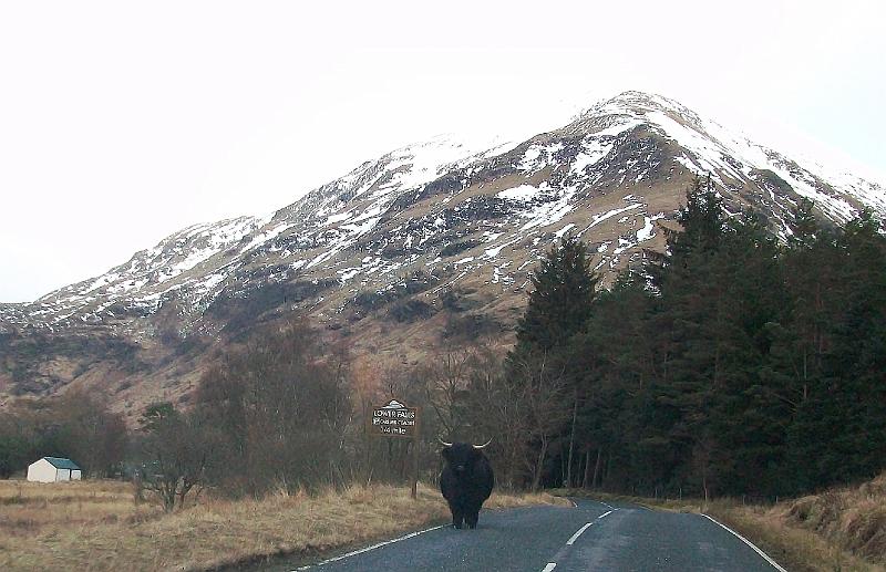 Aviemore-Fort William (126).JPG